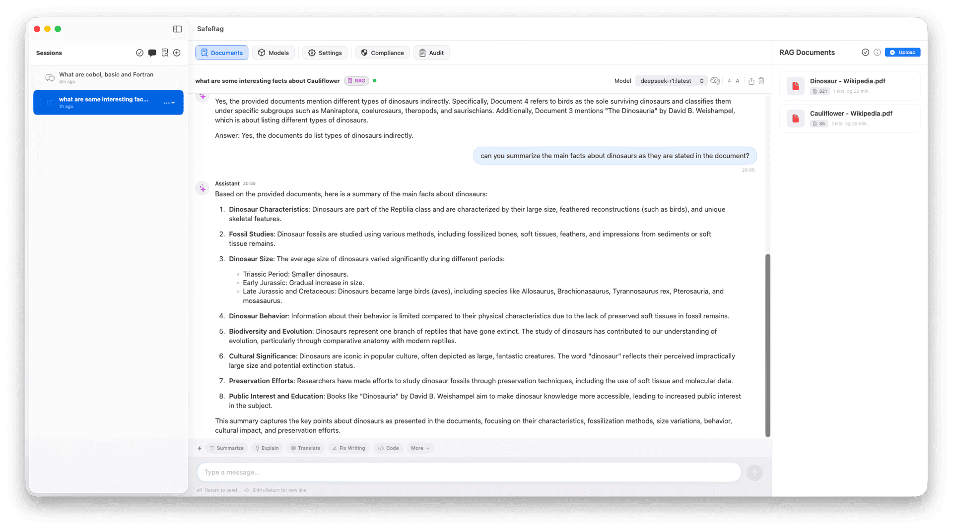 Chat Interface with RAG