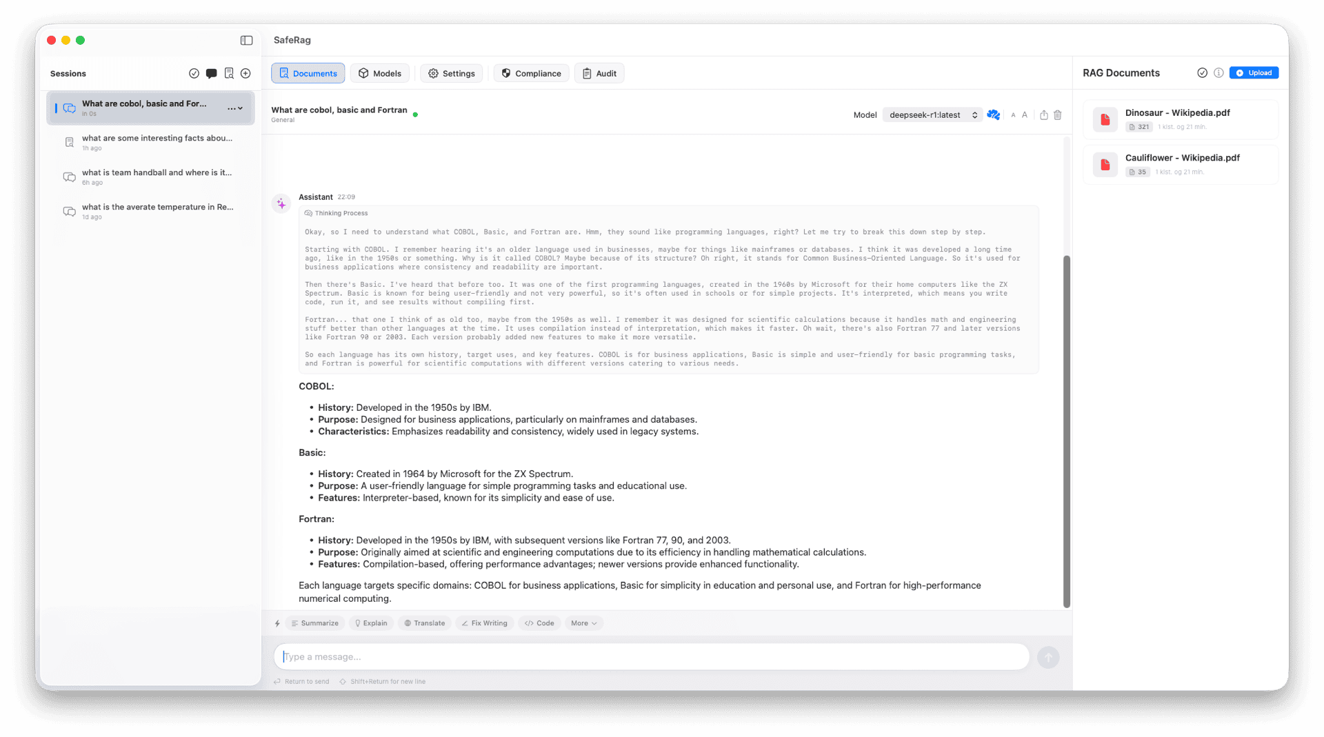 SafeRag Chat Interface